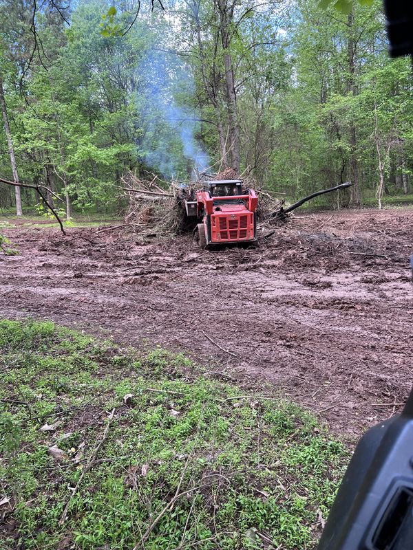 Clearing brush on a wooded lot